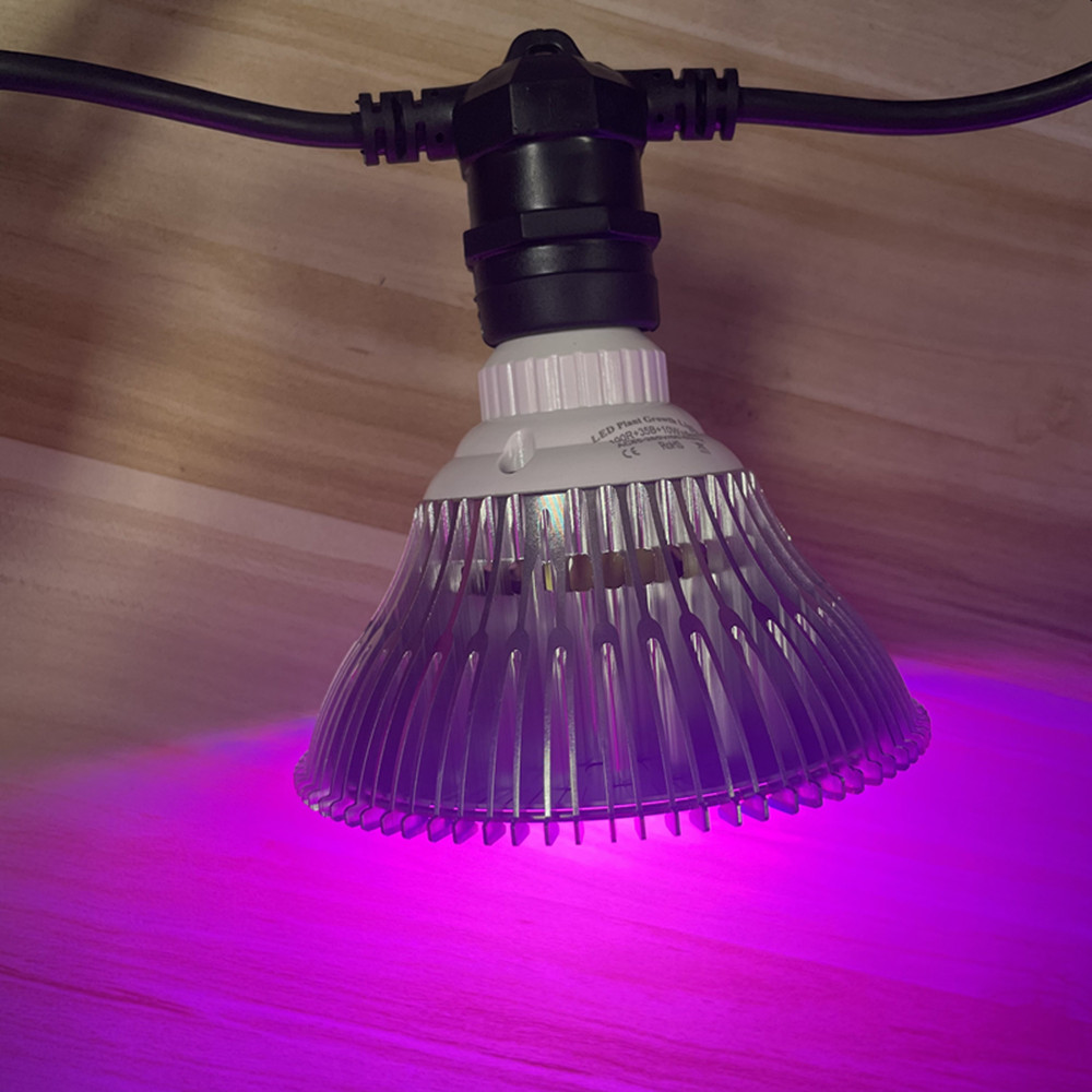 สายไฟ LED ยาว 10 เมตร เกรดเชิง - Outdoor Lighting Manufacturers บทวิจารณ์และราคา