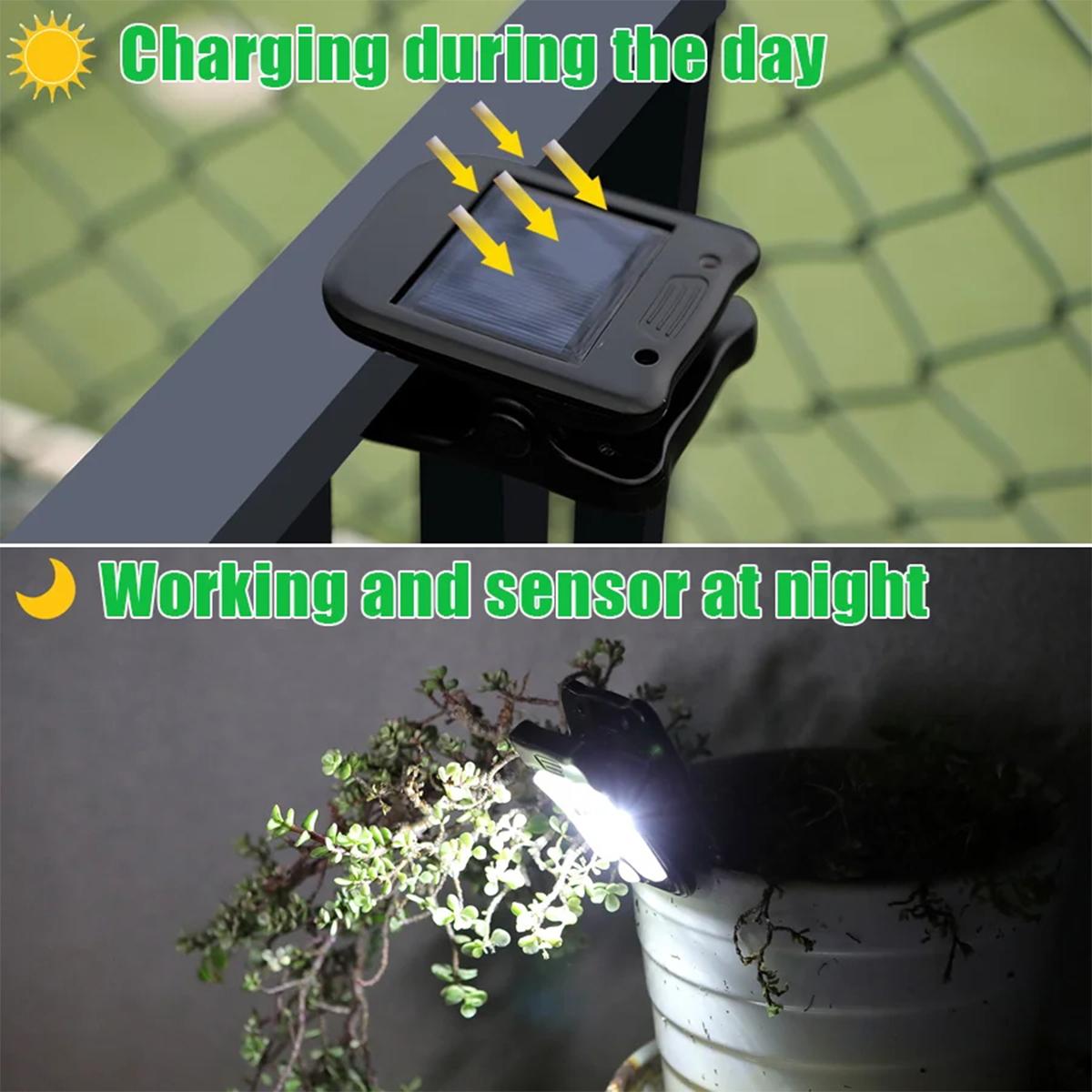 คลิปแสงอาทิตย์นำแสงเซ็นเซอร์เค - Xl Outdoor Lighting บทวิจารณ์และราคา
