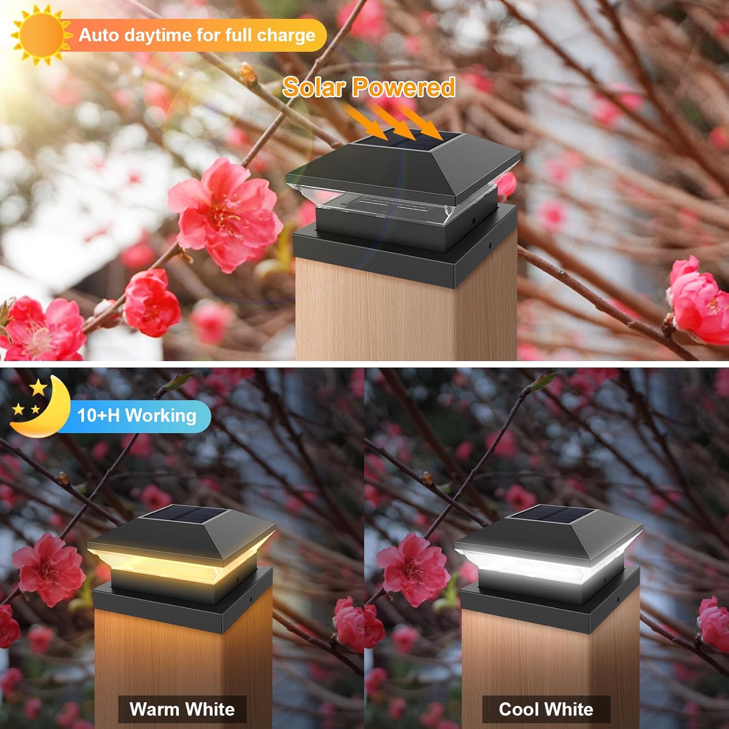 ไฟเสาโซลาร์เซลล์แบบกันน้ำ IP65 - Post Cap Light บทวิจารณ์และราคา